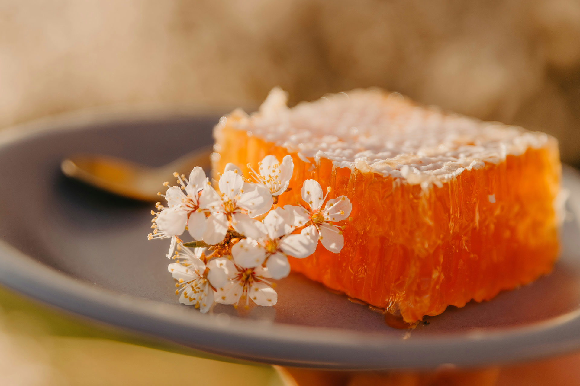 How to avoid buying fake honey