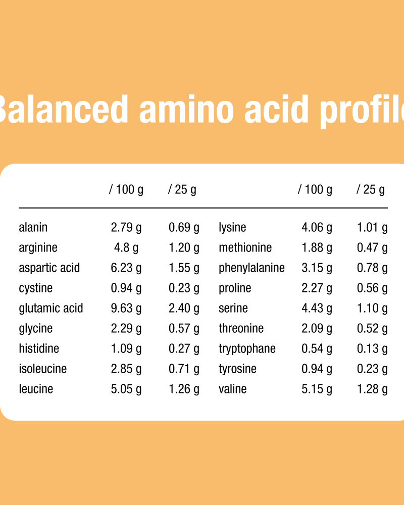 Purasana Vegan protein mix 58% pea/sunflower/acai 400gr - Image 3