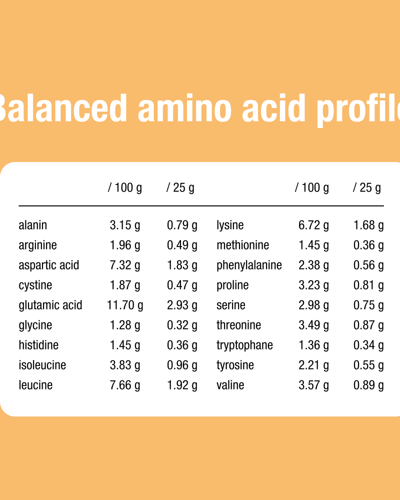 Purasana Whey Protein Powder – Cacao 400gr - Image 3